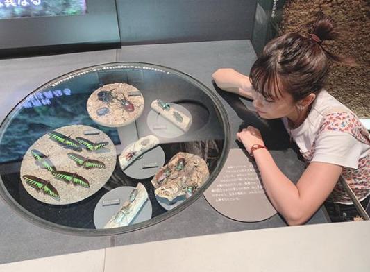 胆真大！曝日本女星将昆虫当食物，直言蟑螂味道像虾