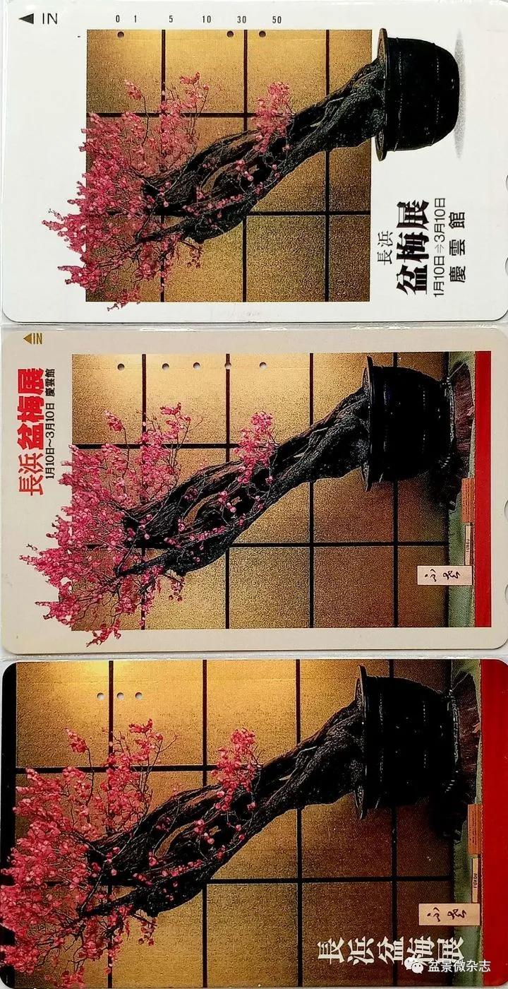 鐩嗘櫙鑱旂郴鐢佃瘽,鐩嗘櫙鑱旂郴鐢佃瘽鍙风爜