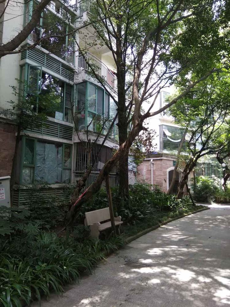 成都网友投诉怡丰新城小区榕树成灾危及行人，高新管委会回应