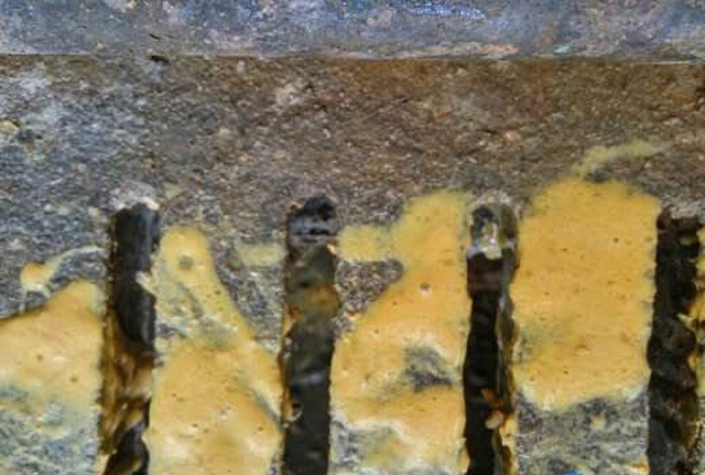 仔猪黄白痢的原因和治疗方案,仔猪得了黄白痢该怎么处理