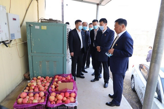 平安产险党建工作总结,党建引领安全生产技术创新