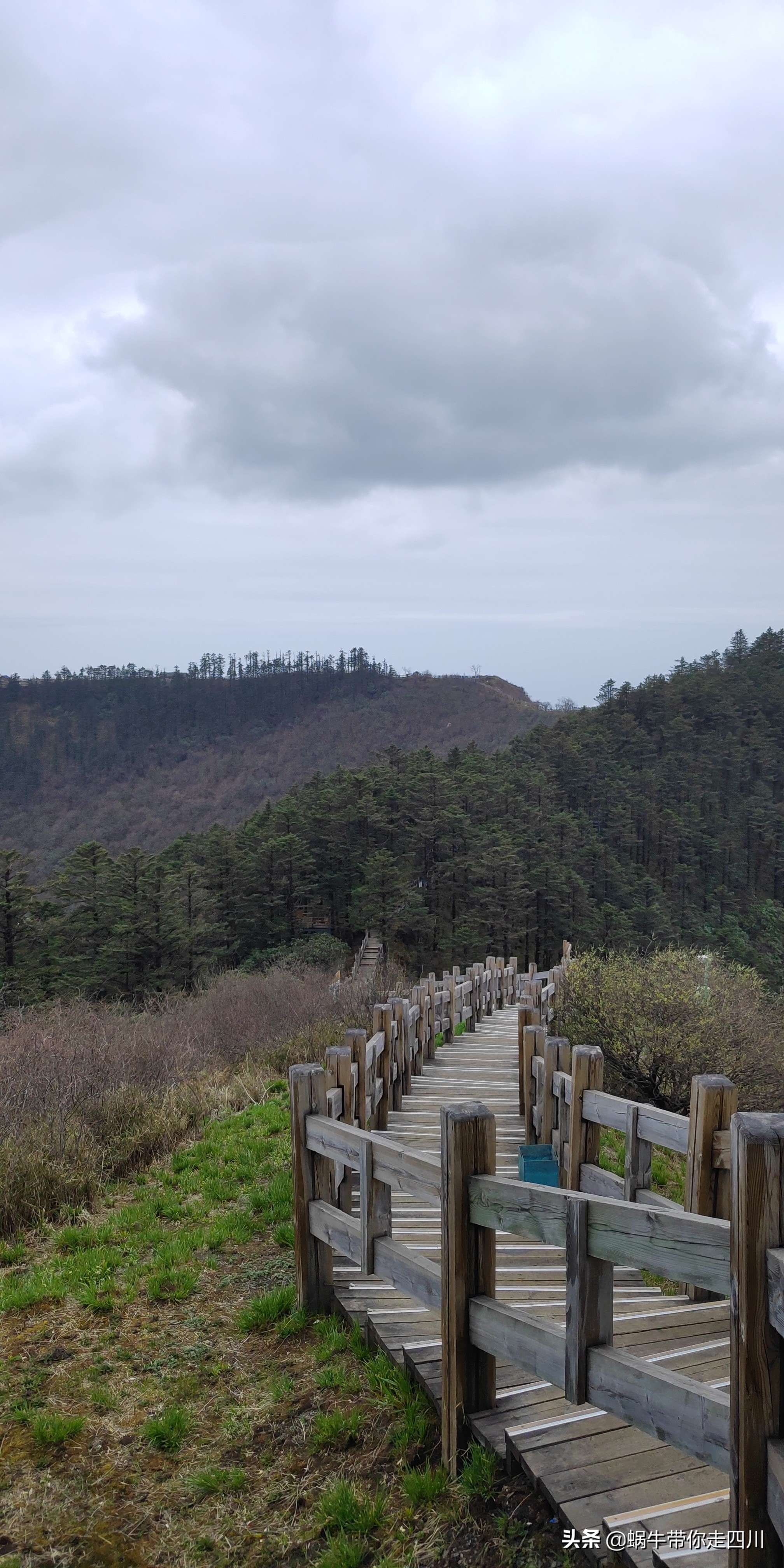 成都去西岭雪山两天一夜旅游团,成都出发雪山旅游