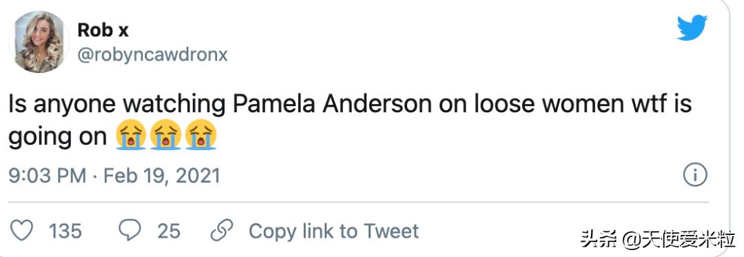 53岁结婚5次嫁给前世界首富,帕米拉·安德森丈夫