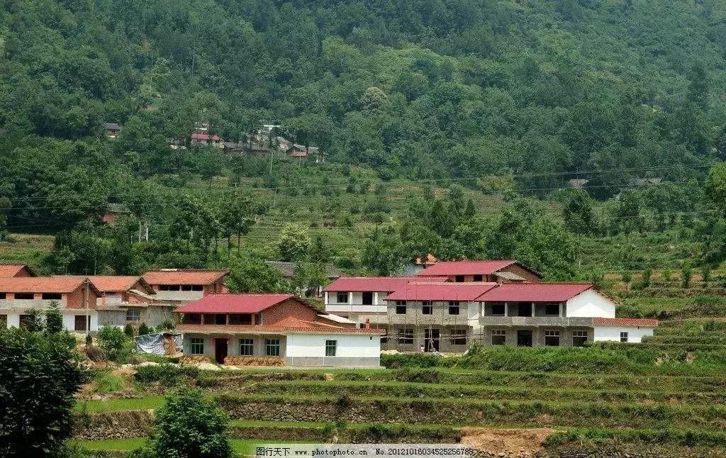 干部群众春节期间返乡见闻,干部春节返乡见闻稿件