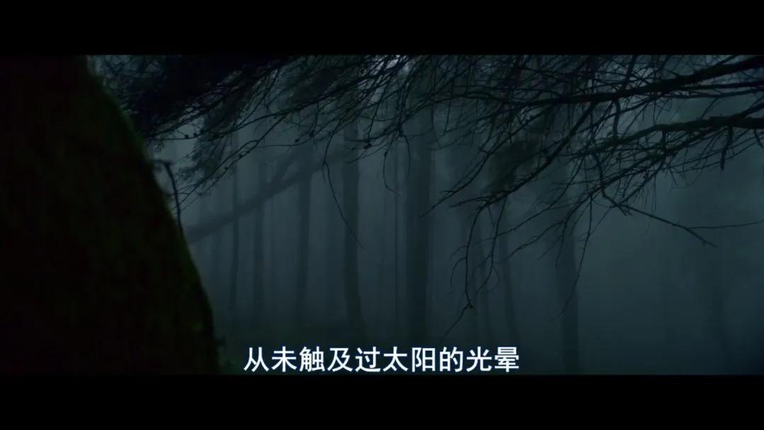 这部恐怖片为何能层层反转,一部让人胆寒的恐怖片