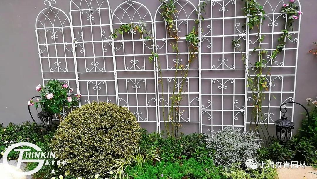 森肯园林官网,森肯园林