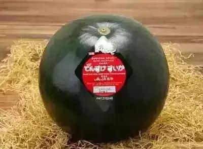 世界上最贵最好吃的西瓜,世界上最贵的大西瓜是什么