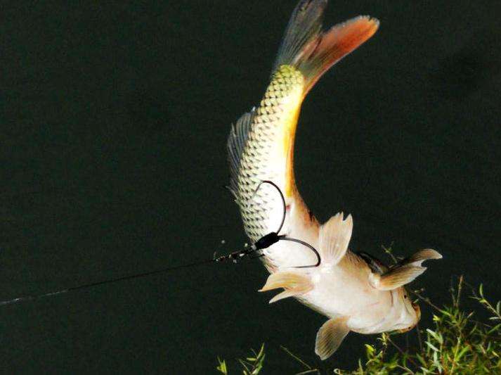 大快人心抓捕现场视频,大快人心刑拘视频