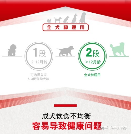 什么狗粮好国产狗粮排行榜,进口狗粮好还是国产狗粮好