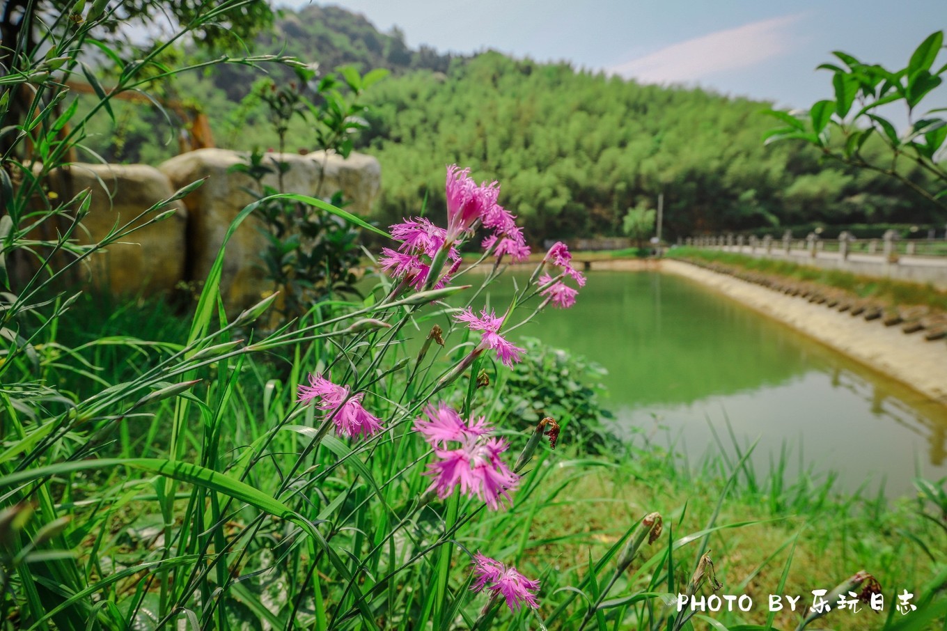 郴州最好的民宿排行榜,郴州山上的民宿推荐