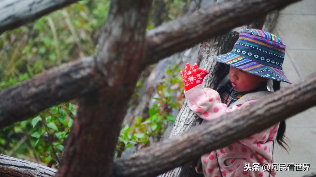 云南普者黑元阳坝美6天旅游攻略,云南建水普者黑旅游路线
