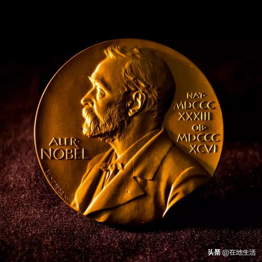 奥尔罕帕慕克诺贝尔获奖作品,奥尔罕帕慕克有没有诺贝尔