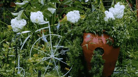 一个安徽爷爷，花1万块种出5000㎡私家花园，被评为中国最美