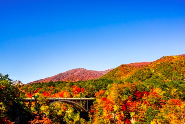 日本陶瓷工艺品,日本陶瓷和中国陶瓷的区别