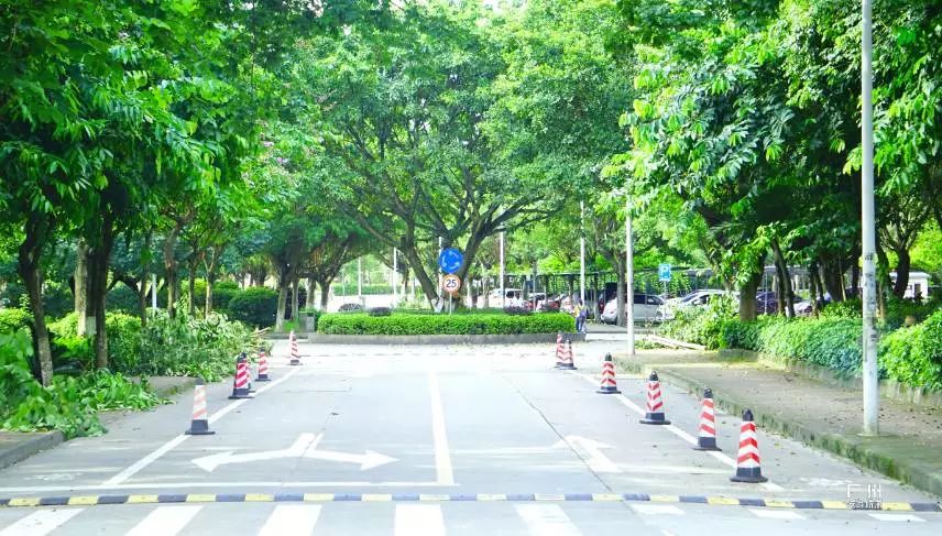 广州龙洞，你好！