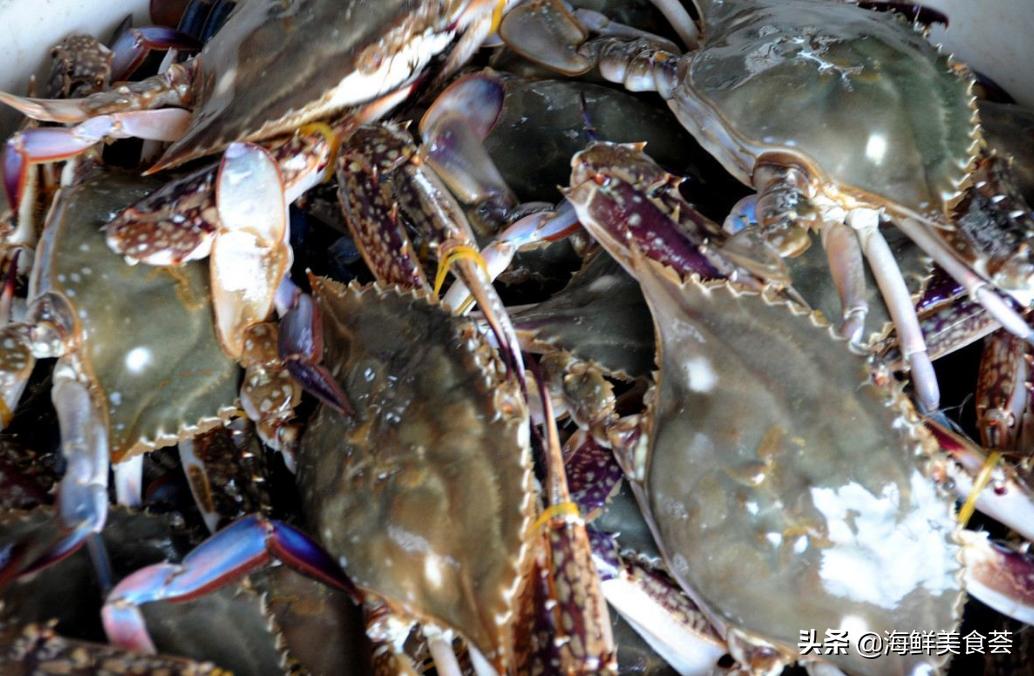 最好吃的海鲜城市排名,沿海城市海鲜又便宜又好吃