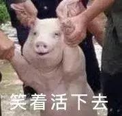 5000块的大牌中文名却像500块山寨？