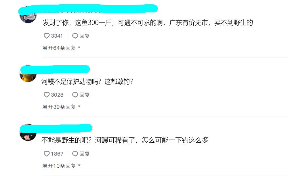 河鳗泛滥?江苏南通钓鱼人称一夜钓几十条,网友:这鱼300一斤