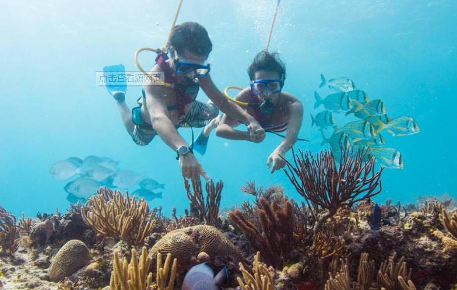 墨西哥坎昆加勒比风情度假天堂,世界十大海滩度假胜地坎昆