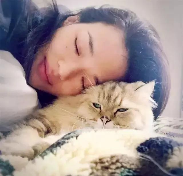 猫毛过敏会导致嗅觉失灵么,猫毛过敏是免疫力下降吗