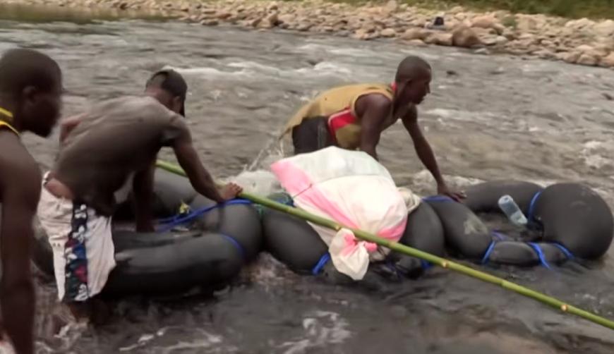 实拍非洲紫檀木*私走**全过程：护林员做*私走**，一根紫檀木赚三万