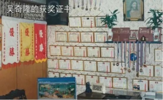 运动员出身的30个明星,运动员出身的6个明星