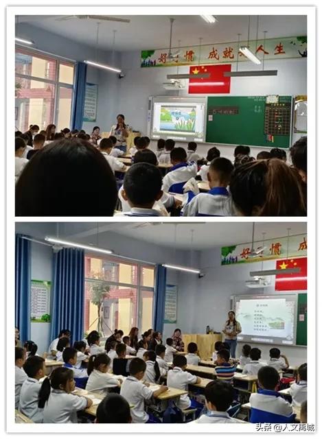 禹城市督杨实验学校教导主任,禹城督杨实验学校老师名单