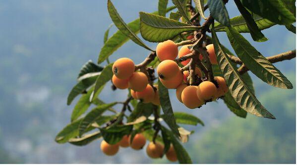 苏州东山二日游攻略,苏州东山景区自驾从哪里上山