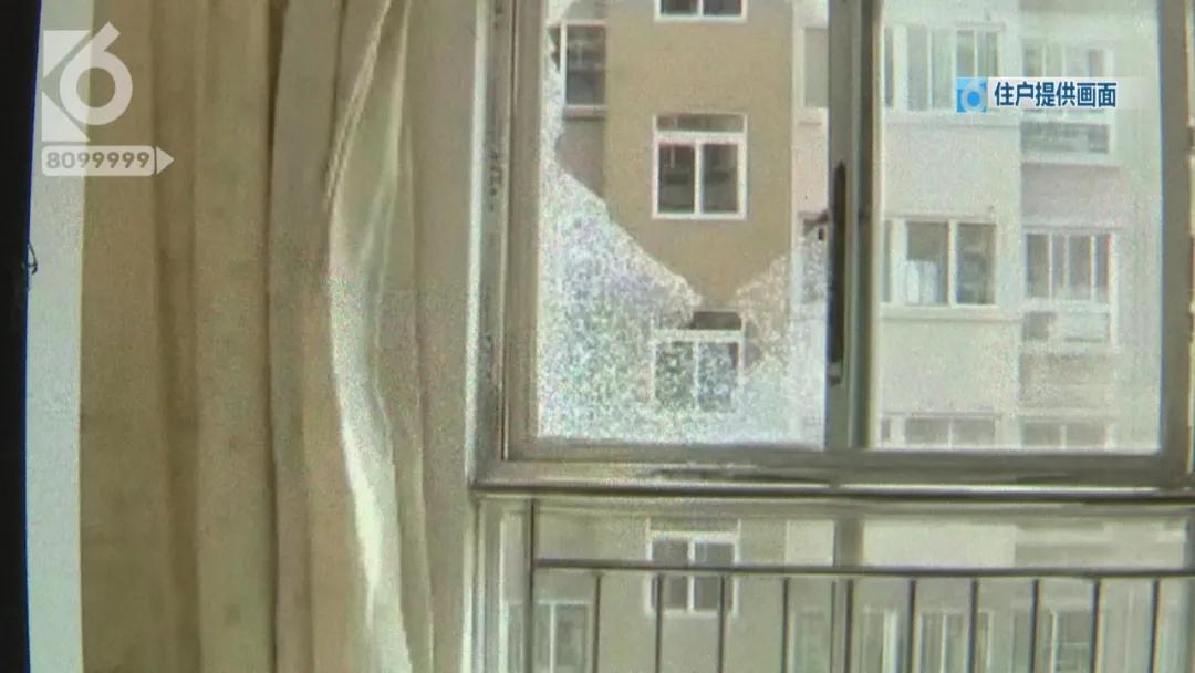 “铁疙瘩射入体内十几厘米”独自下楼的宠物狗究竟遭遇了什么？