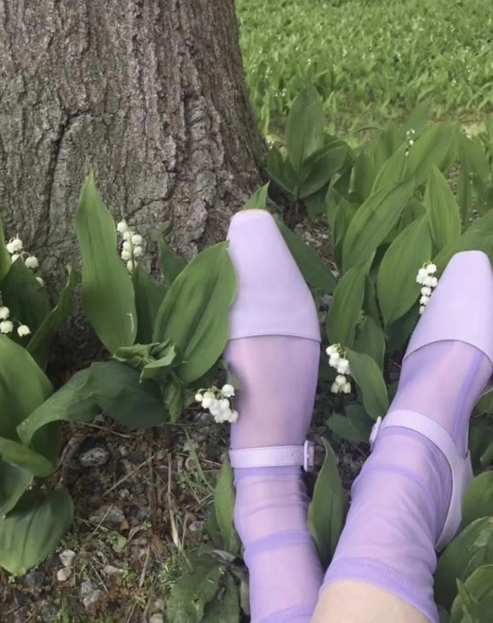 现在的袜子怎么也成了一种时尚,现在的袜子越来越时尚了