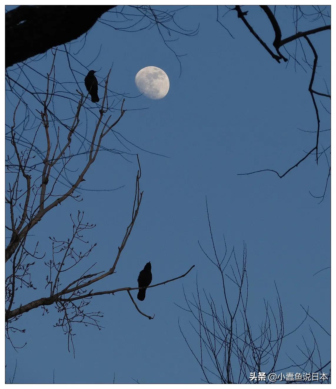 田英章书法与主流书法的区别,如何评价田英章的楷书