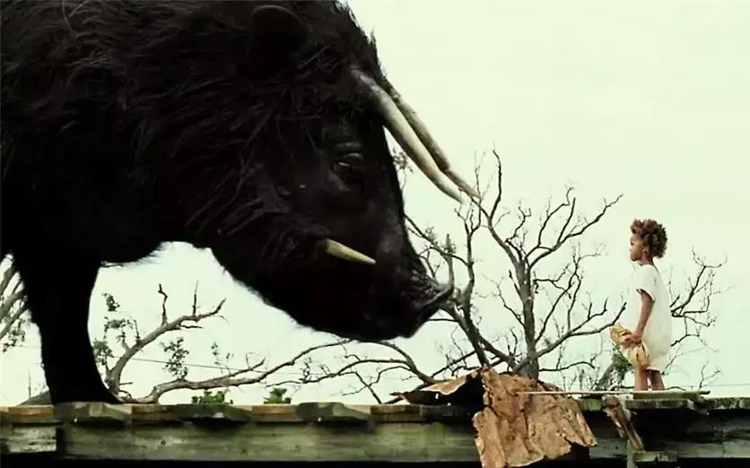 8部高能野外求生电影,5部艰难求生的电影