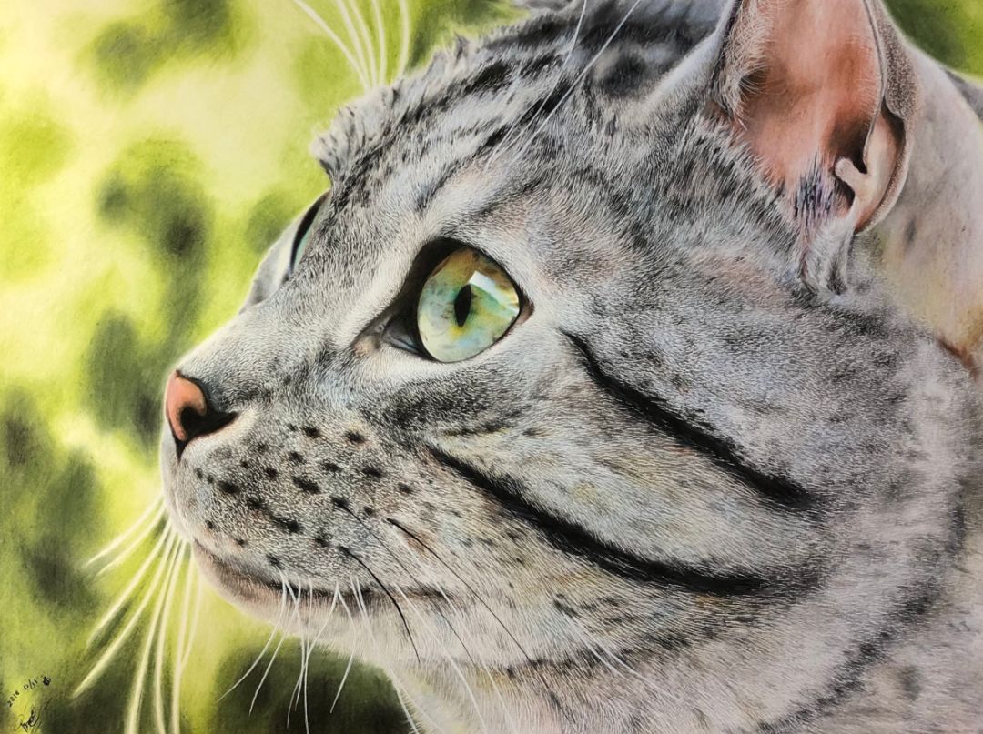 失明女孩铅笔画,手绘眼睛流泪铅笔画