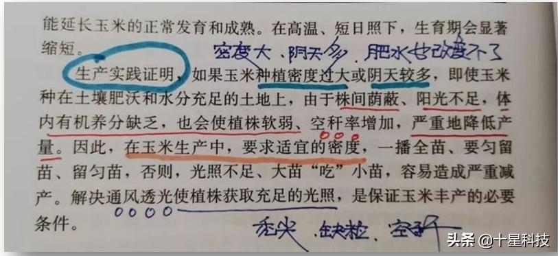 玉米密植高产还是稀植高产,玉米品种稀植品种有哪些