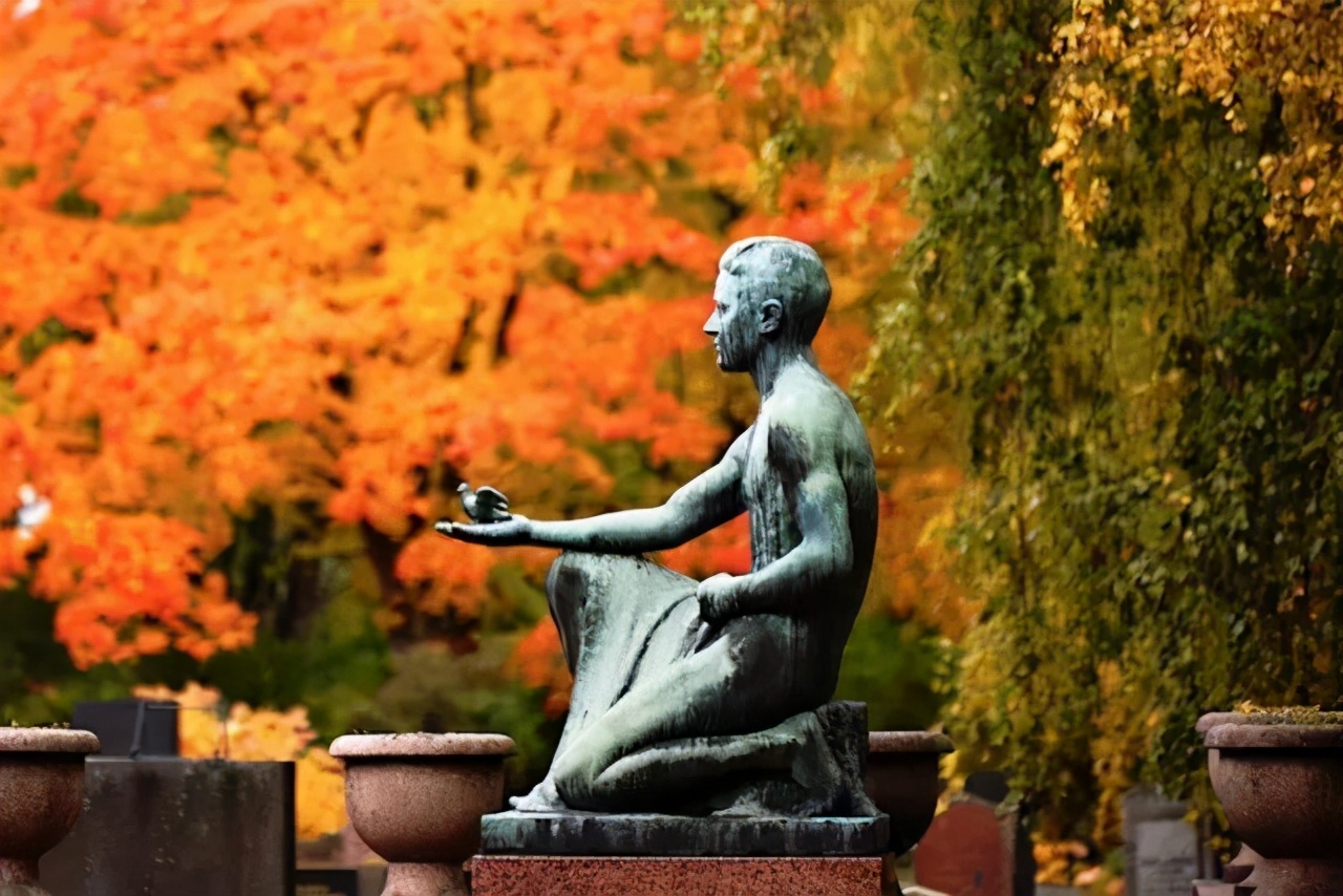 新手摄影怎么拍出质感,新手如何拍出好的作品