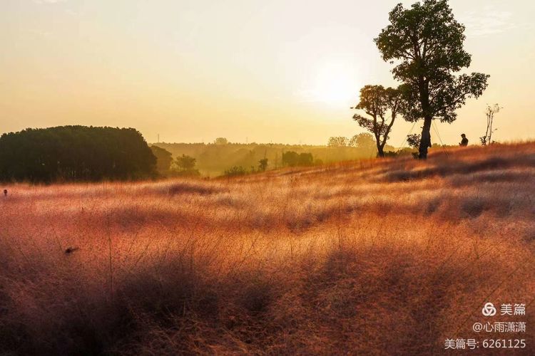 白凡逸志在线阅读,一个韩国人眼里的中国
