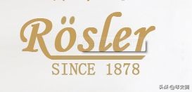 写给琴童家长的霸气句子,写给琴童家长系列的一段话