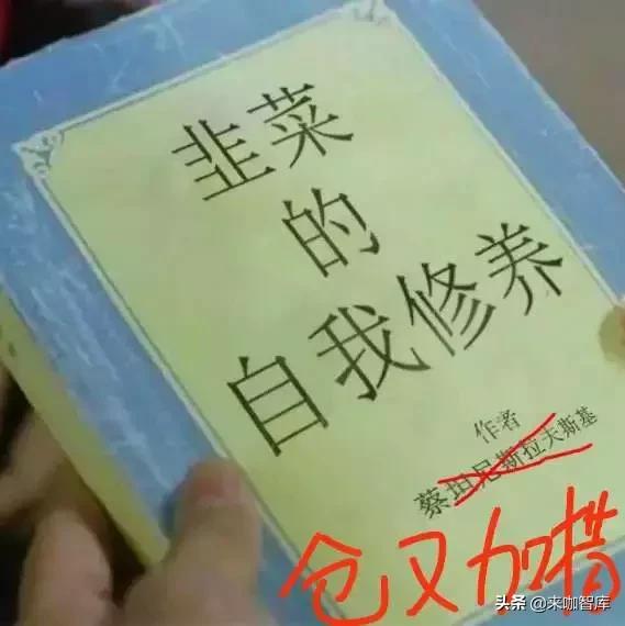 开元股份深度解析,解密科学解释不了的事件