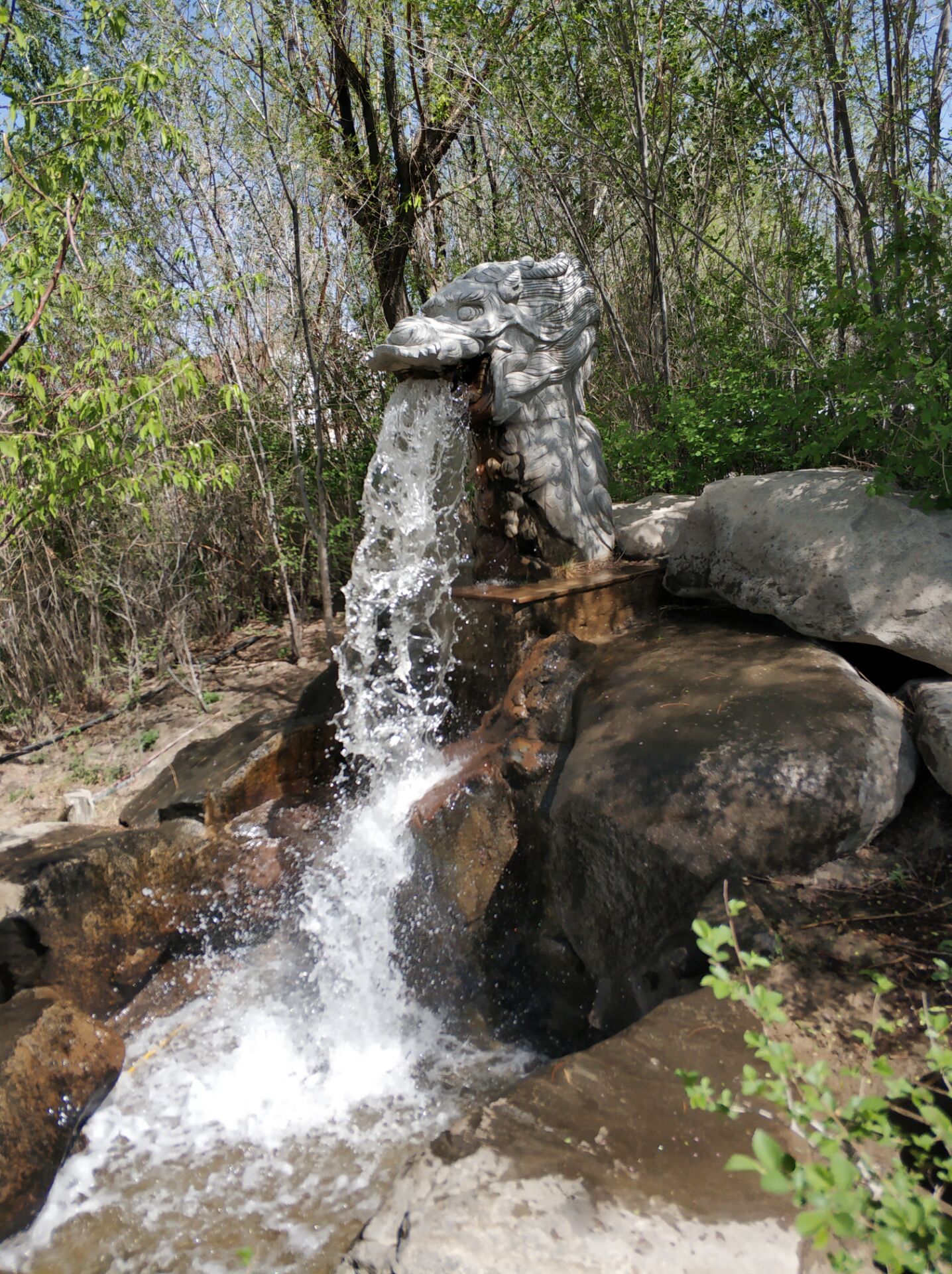 乌鲁木齐居然有这么漂亮的地方,乌鲁木齐周边森林公园在哪里