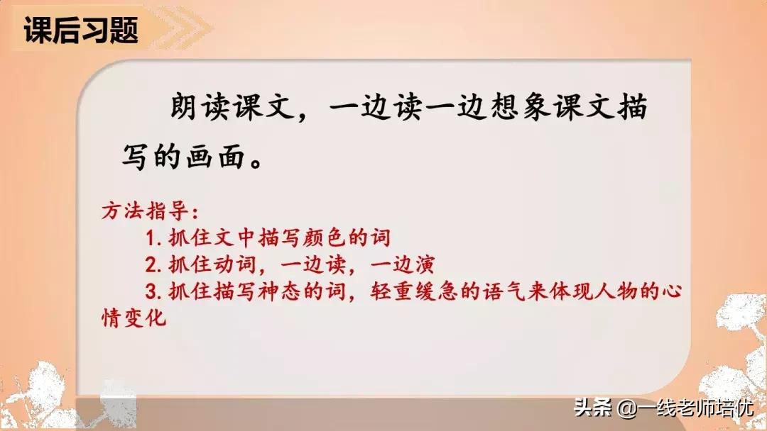 三年级语文金色的草地展现了什么,语文三年级上金色的草地课文讲解