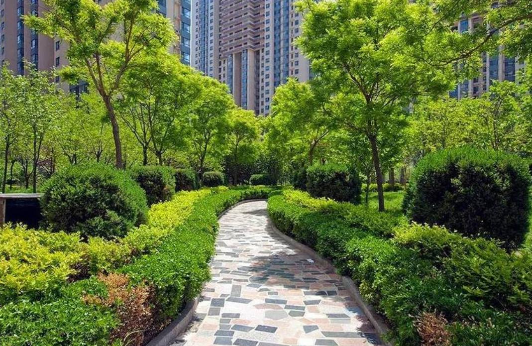 学区房值得买吗？正方和反方的理由成立吗——水木清华详细解析