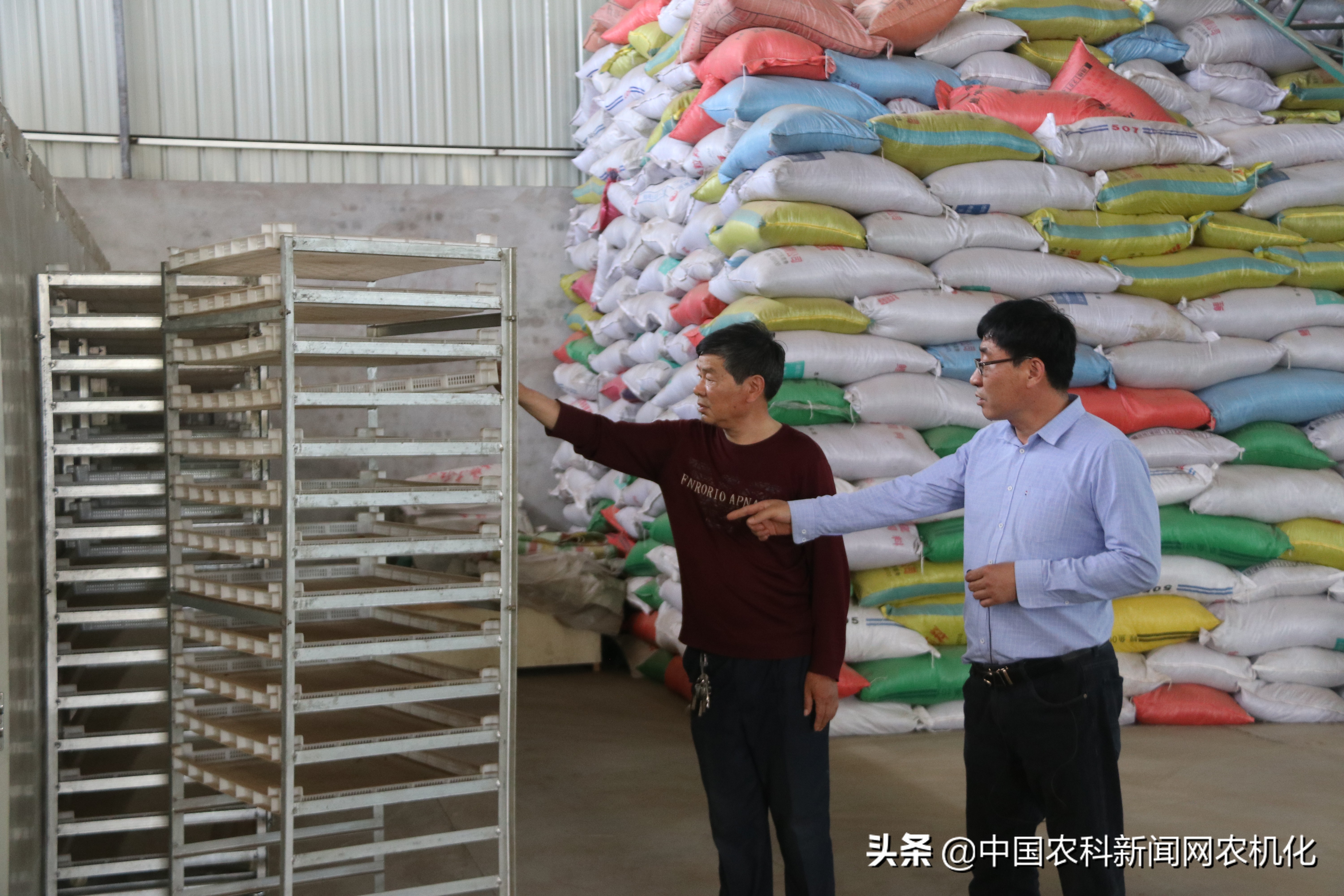 西农大帮扶合阳百良镇发展花椒产业，贫困户走上致富路