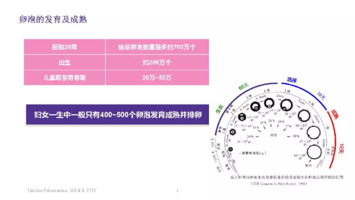 备孕女性如何自测,备孕性激素六项怎么看卵巢功能