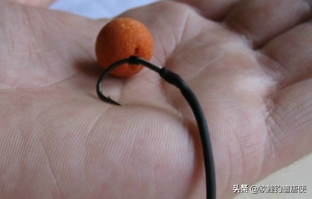 欧鲤钓必须用弯背钩吗,欧鲤钓真的那么厉害吗