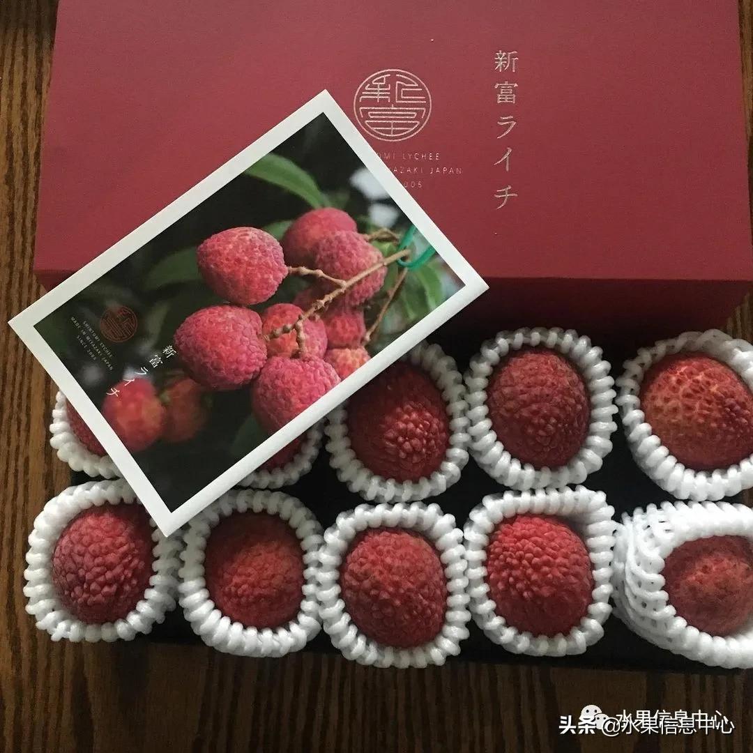 日本农业发达到什么程度？荔枝、香蕉、菠萝竟然用温室来种