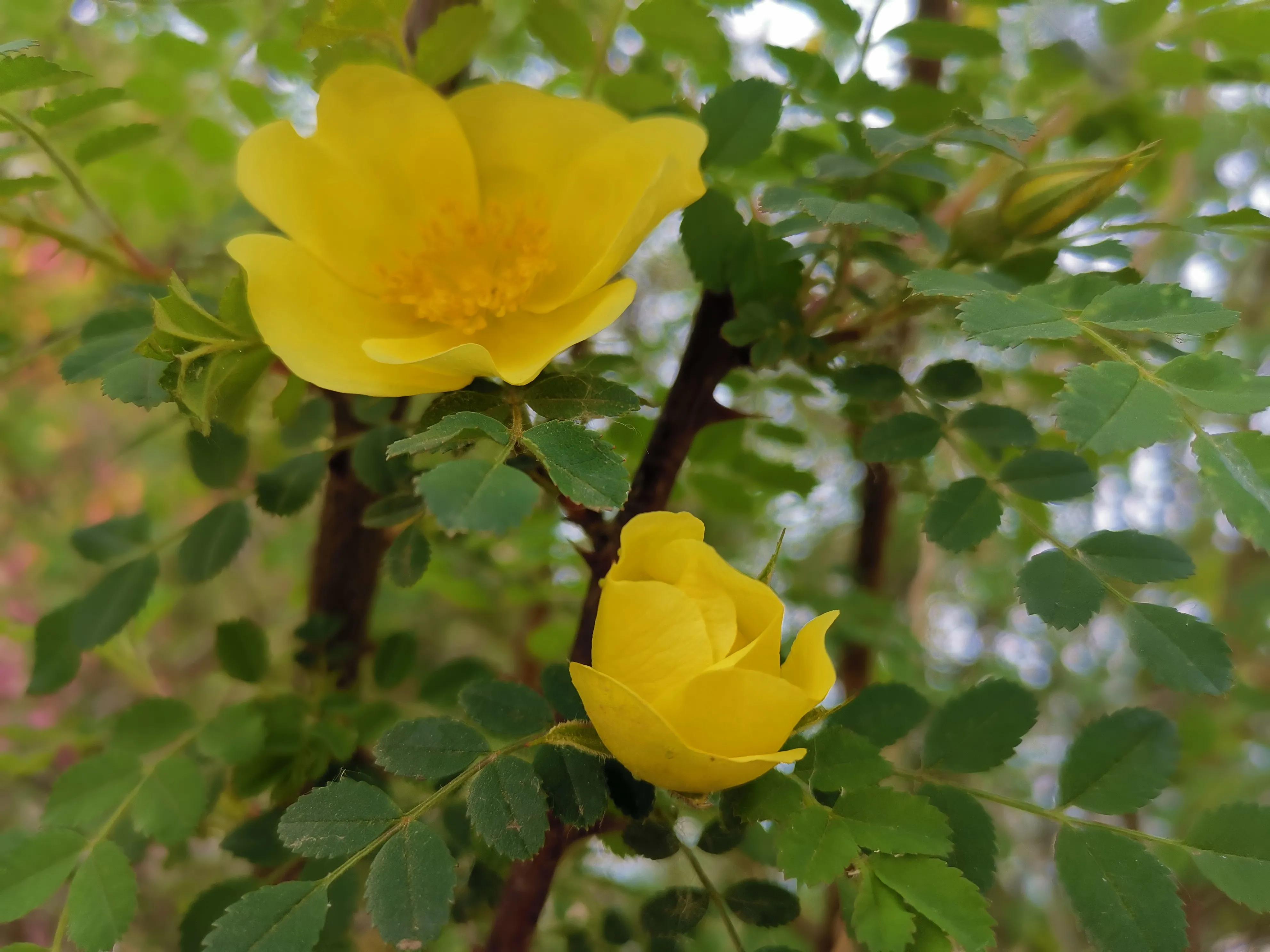 记忆模糊的三年,记忆回到三年前