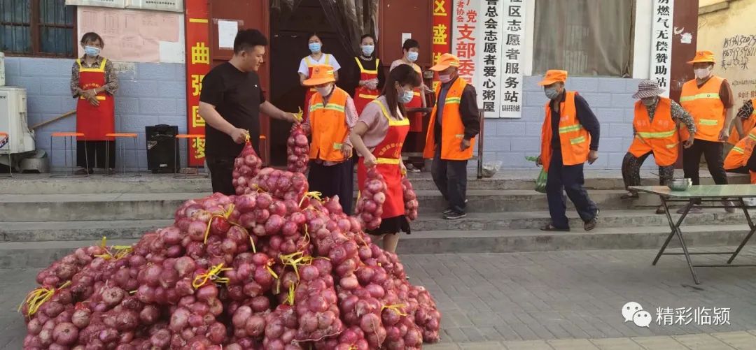 蔬菜滞销小伙带千万去收购,20万斤包菜滞销男子买1万斤