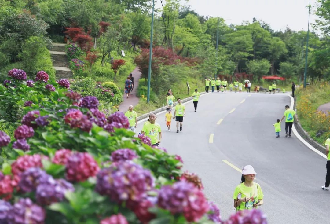千人亲子运动会圆满成功,亲子健康跑活动方案