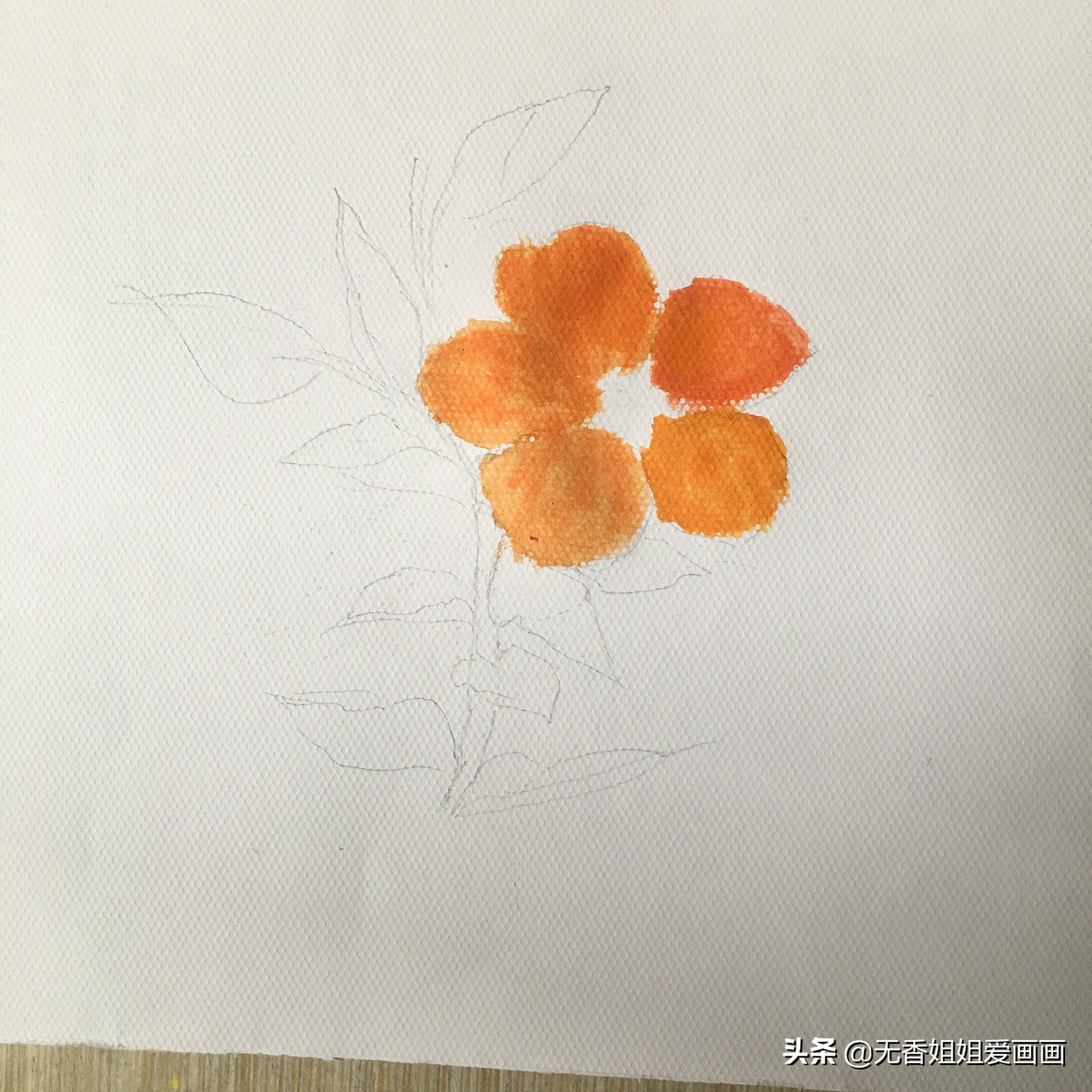 朱槿花怎么画水彩,水彩绘画入门花卉教程
