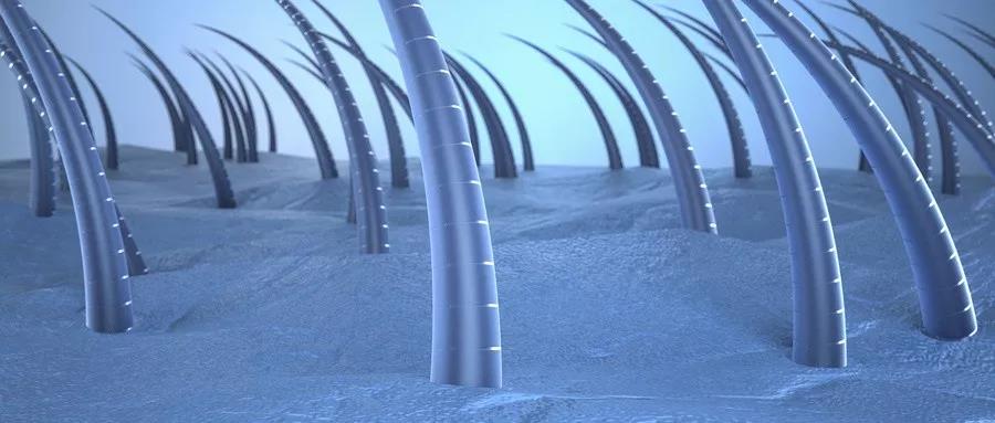 你知道头发白的原因吗,你为什么会有这么多白头发